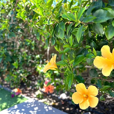 Estrella Del Sur Tauro Ocean Wiew Heated Pool Villa